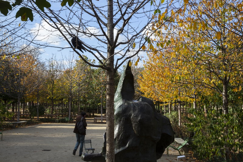 - Le Jardin des Tuileries : la statuaire