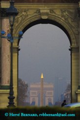 - Le Jardin des Tuileries, <br>a perspective