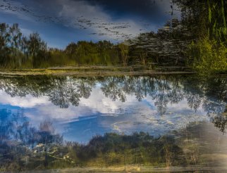 - From painting to photograpy