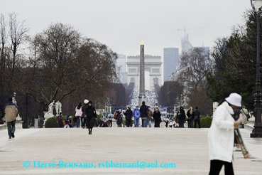 - Le Jardin des Tuileries, <br>a perspective