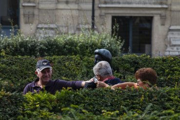 - Le Jardin des Tuileries : la statuaire