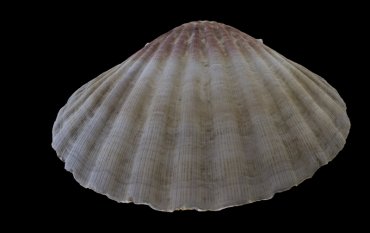 3D photography and printing