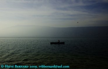 - L'Ecume de la Terre I